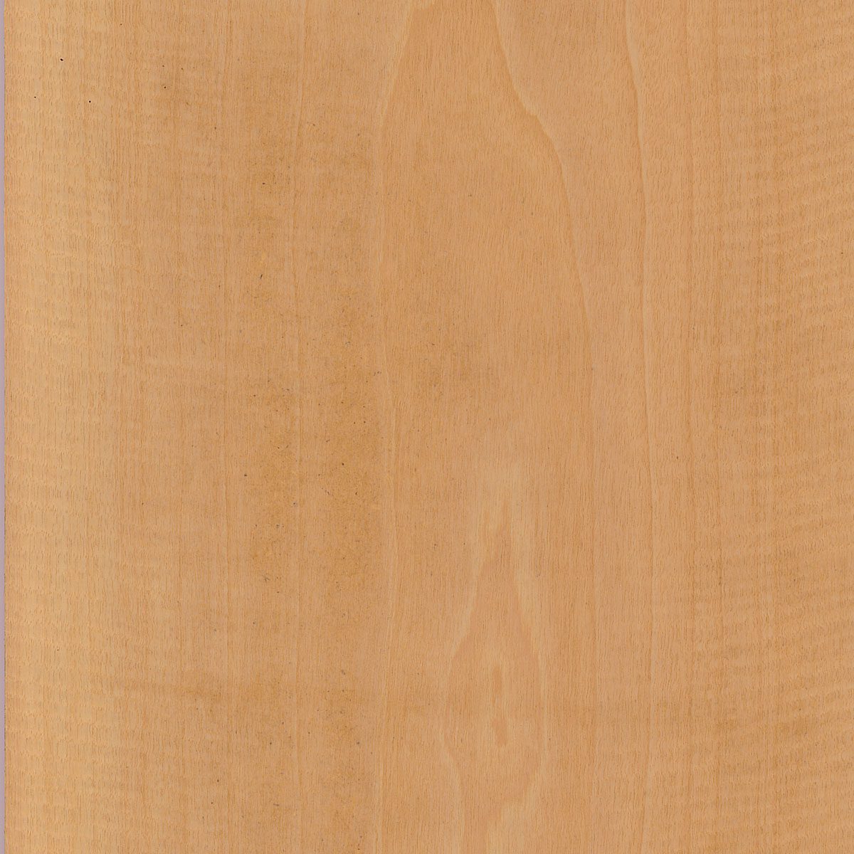 flat cut plain Anegre veneer
