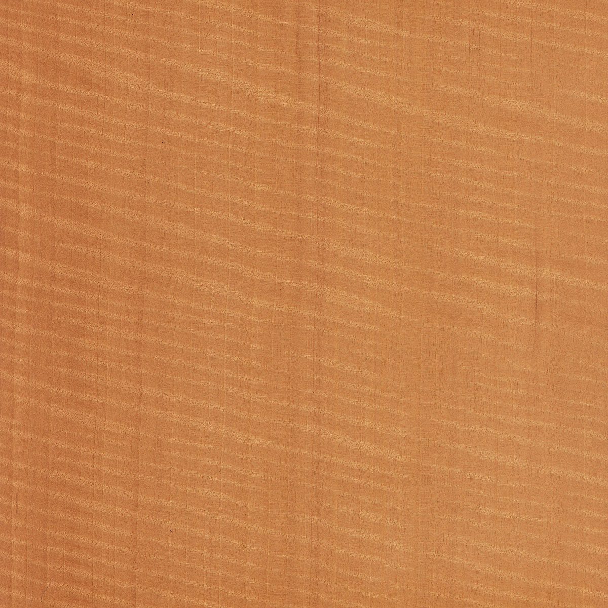quartered figured anegre veneer