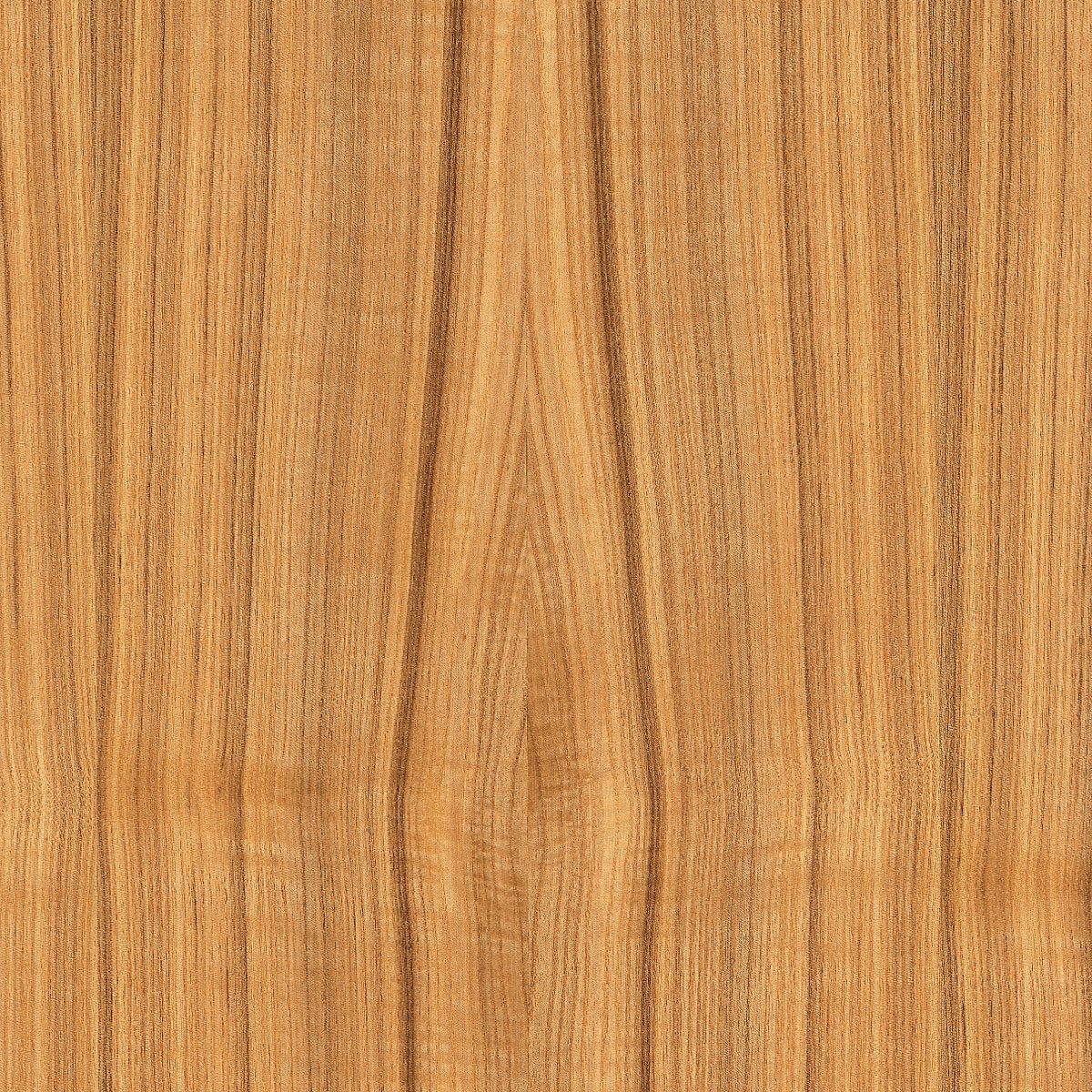 quartered brown ash veneer