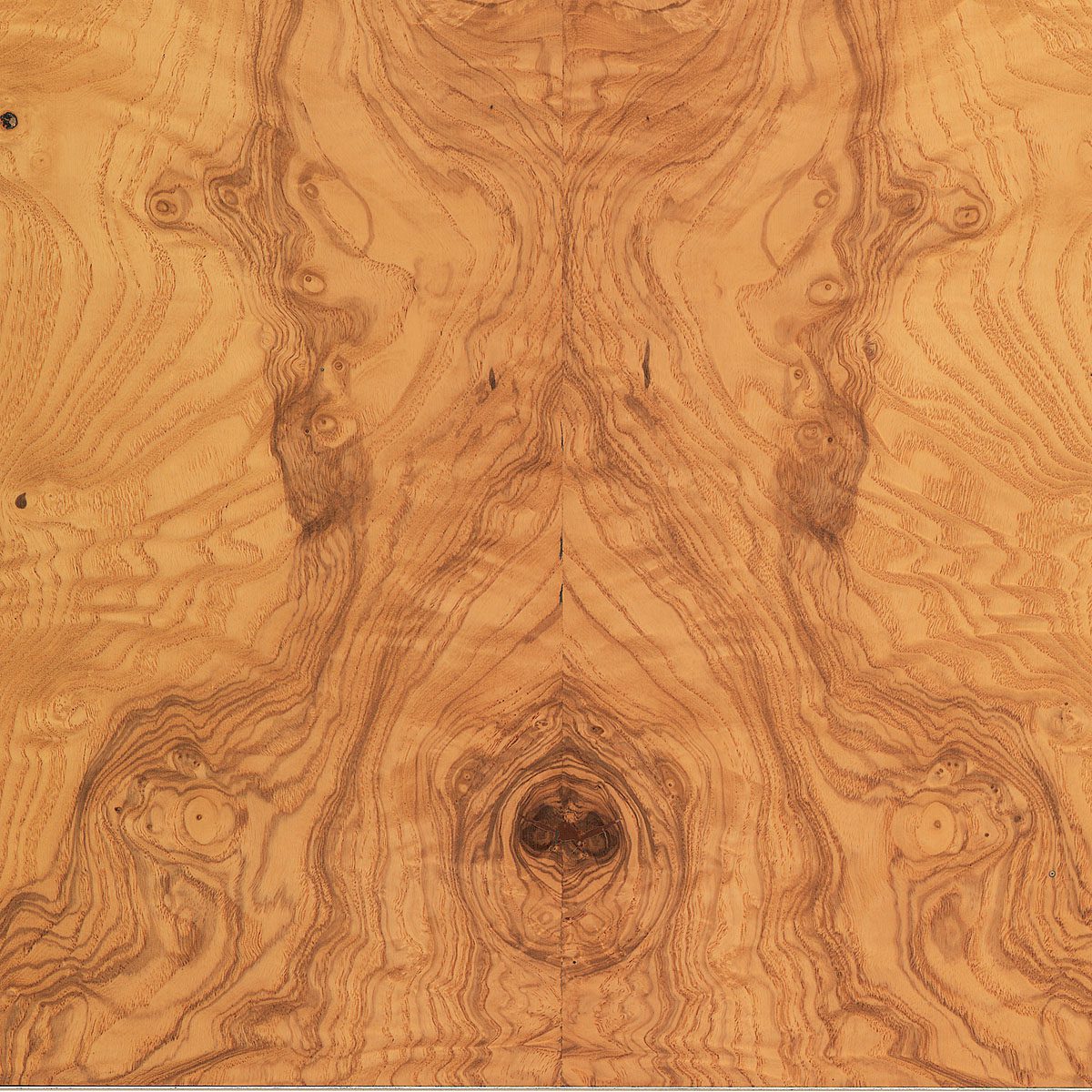 burl olive ash veneer