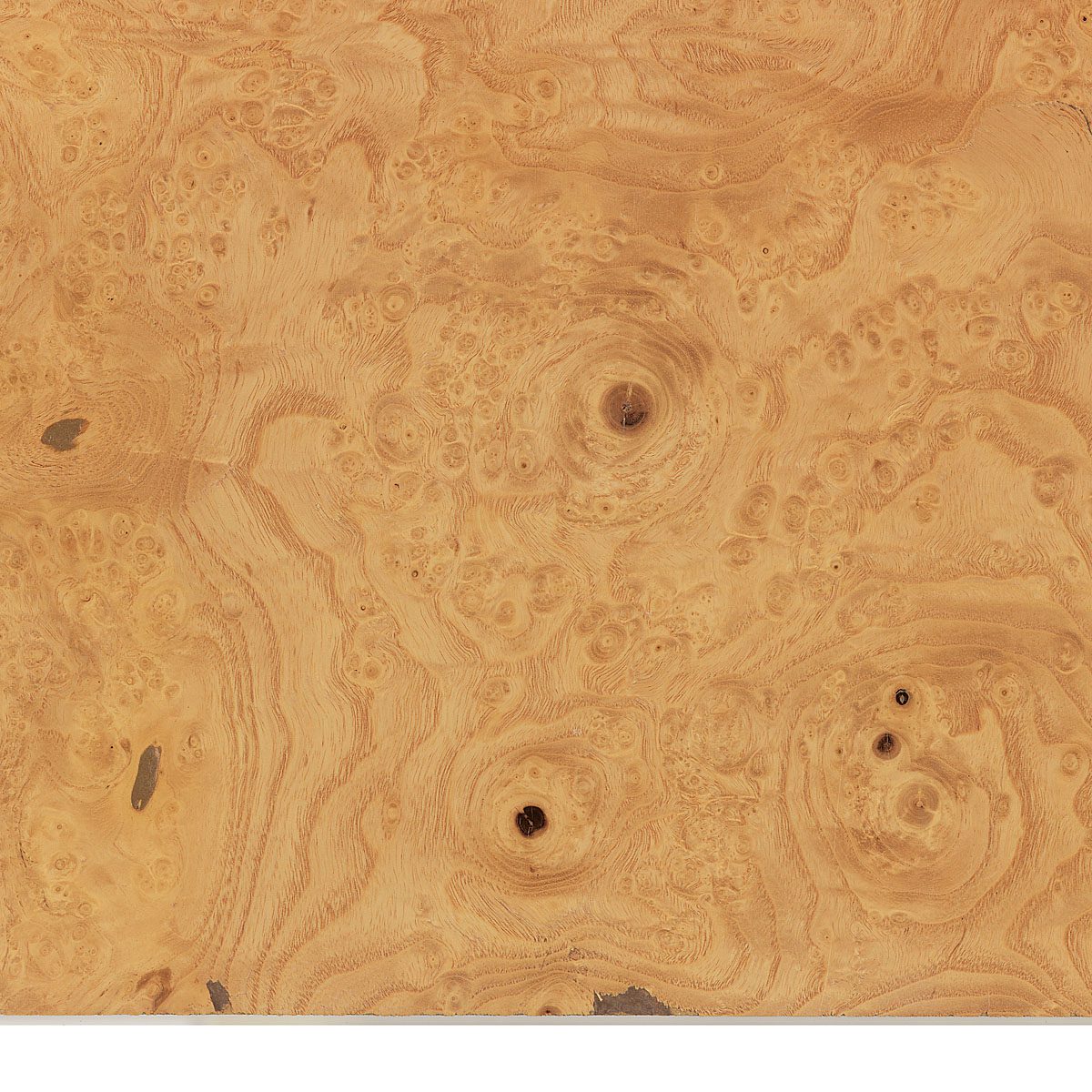 burl white ash veneer