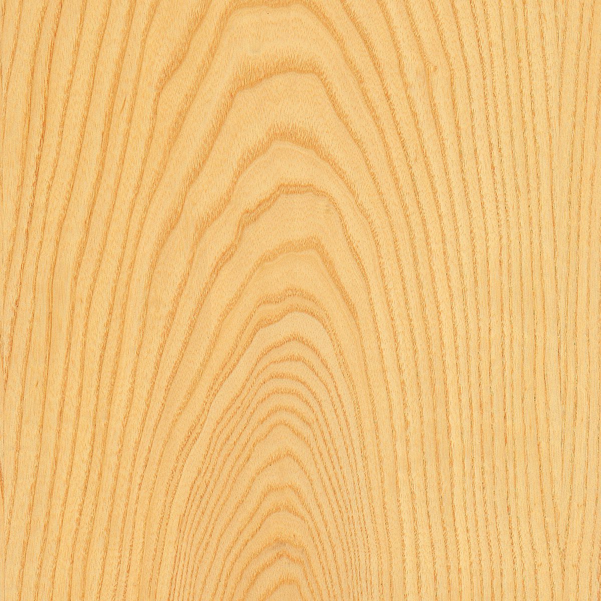 flat cut white ash veneer