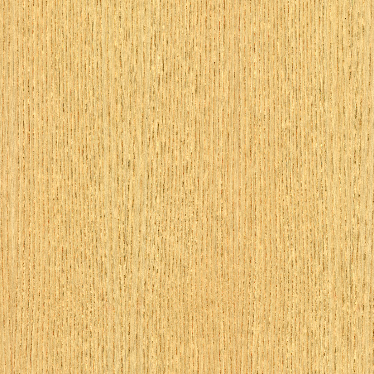 quartered white ash veneer