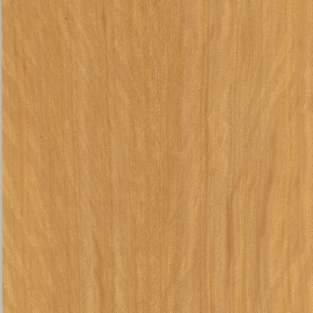 quartered avodire veneer