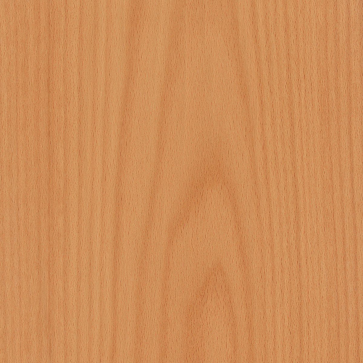 flat cut steamed European beech veneer