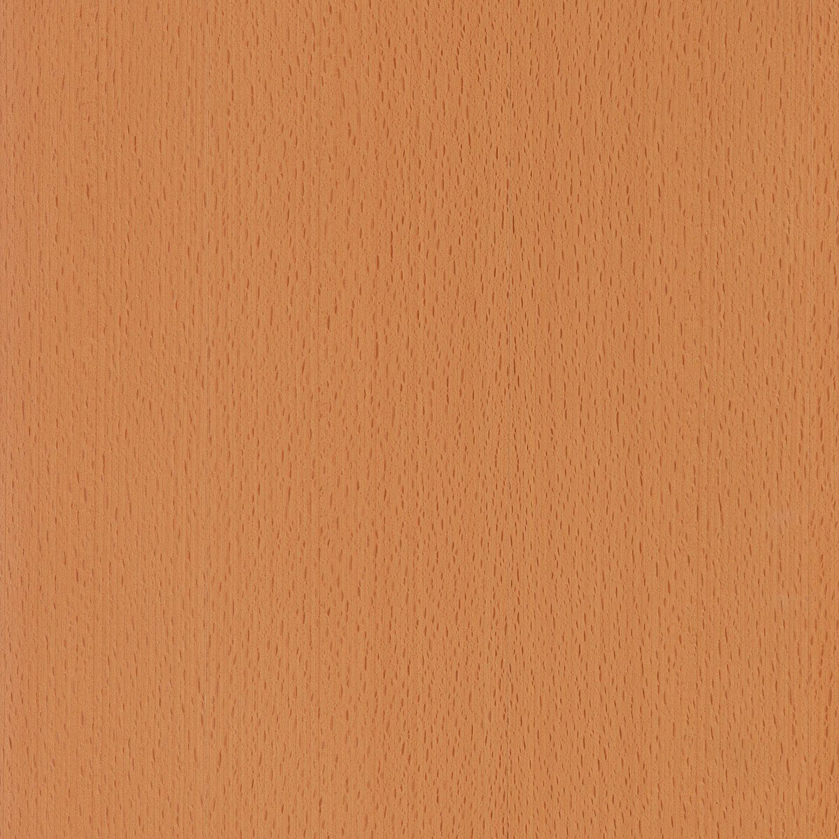 quartered steamed European beech veneer