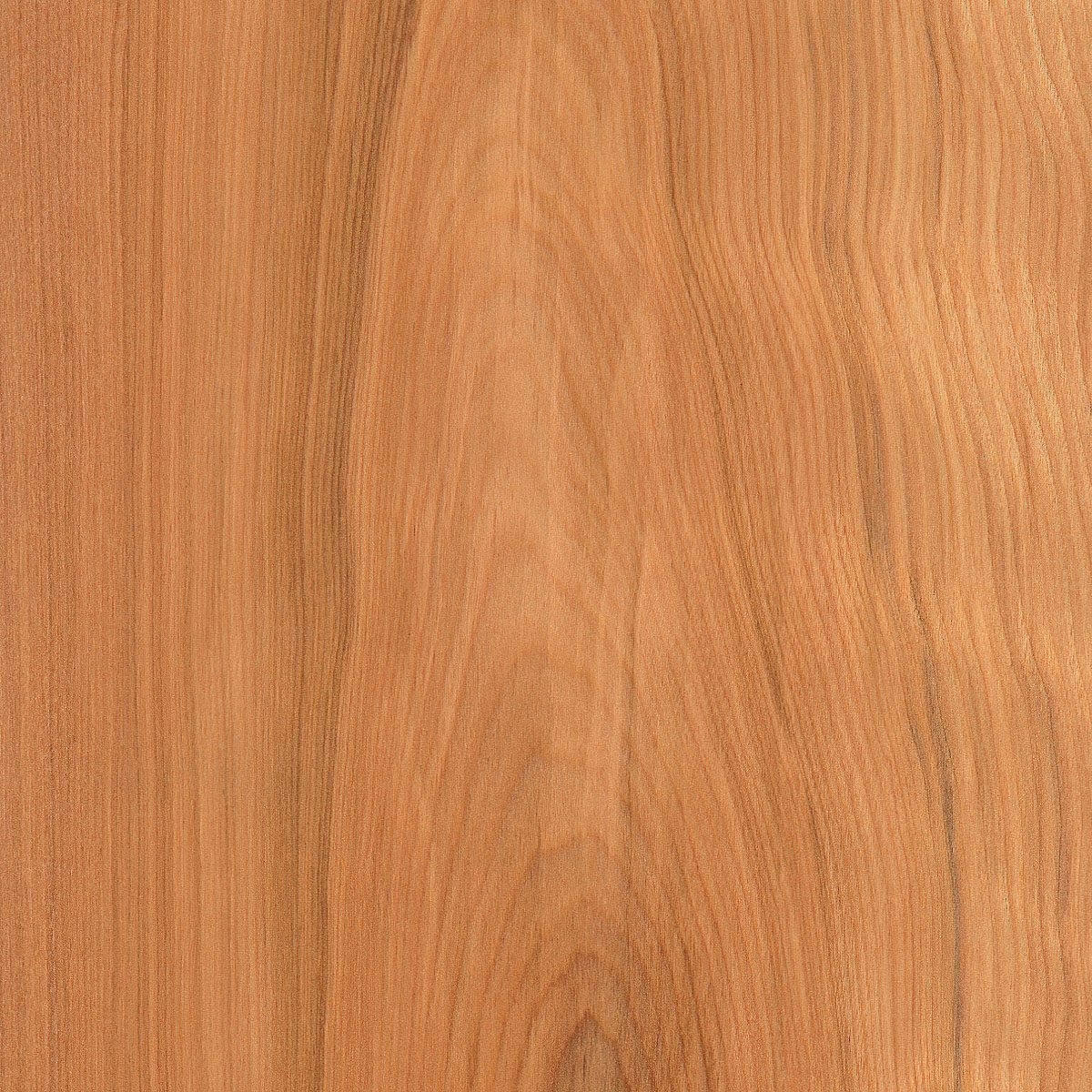red birch veneer