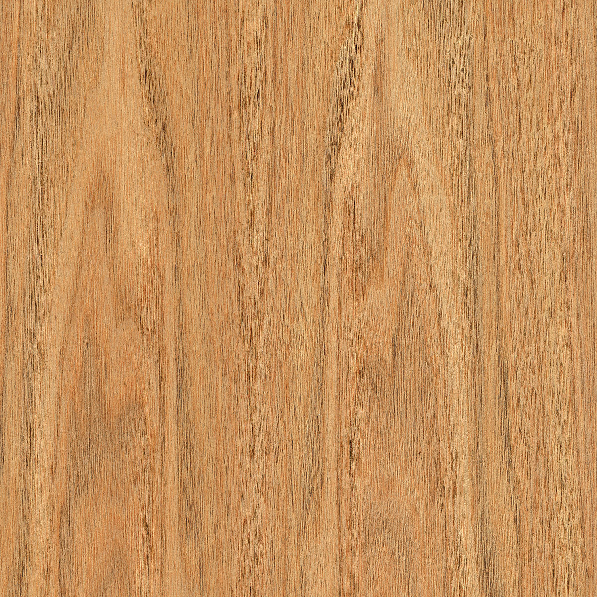 flat cut butternut veneer