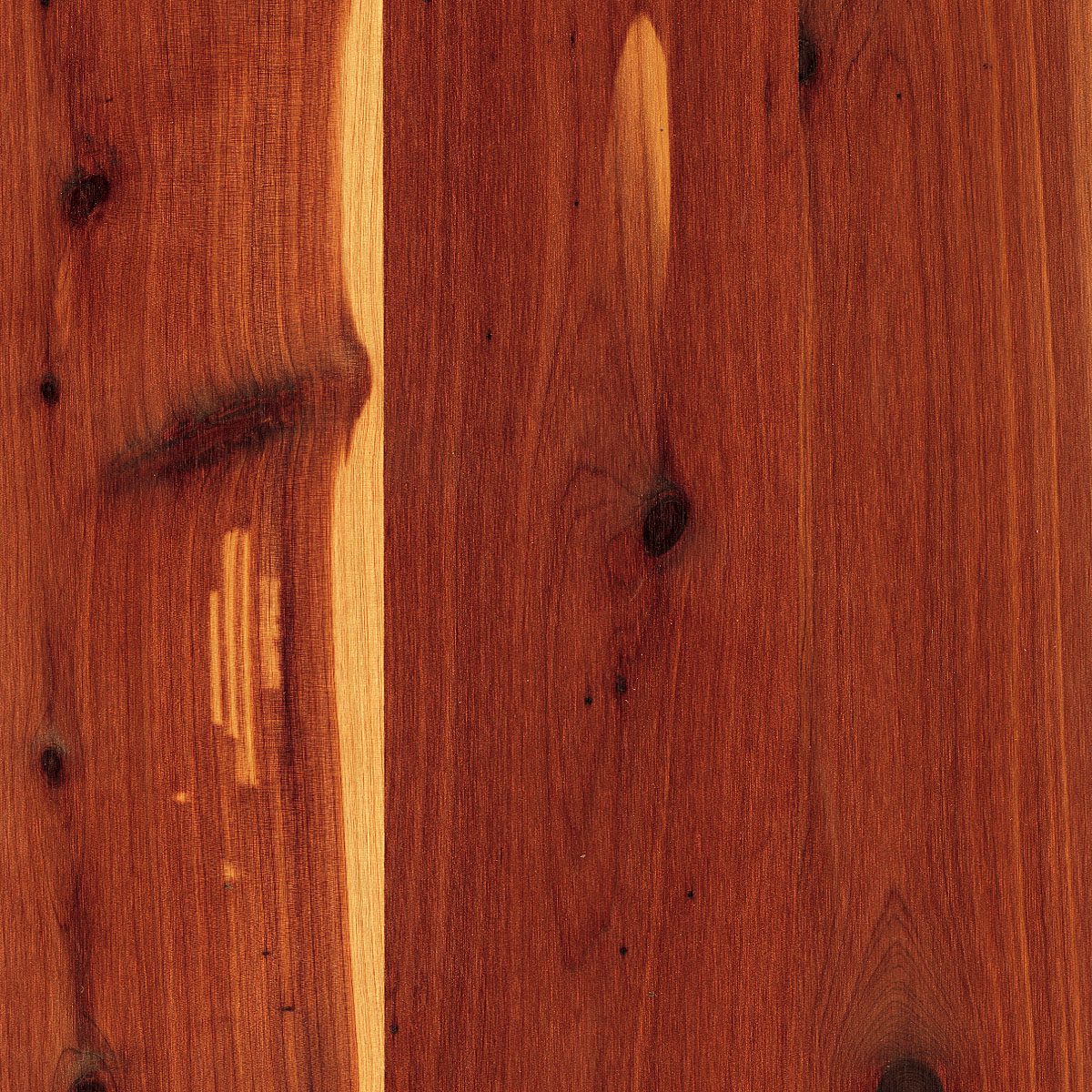 Aromatic red Cedar veneer