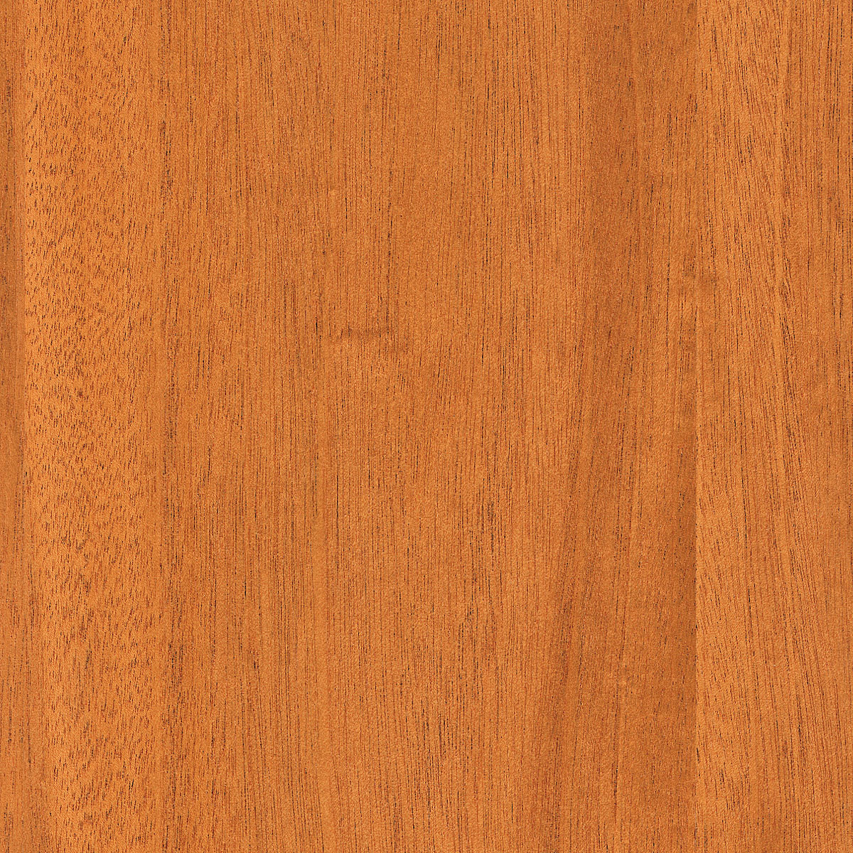 Spanish cedar veneer