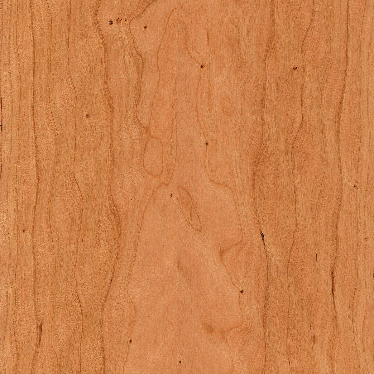 curly figured cherry veneer