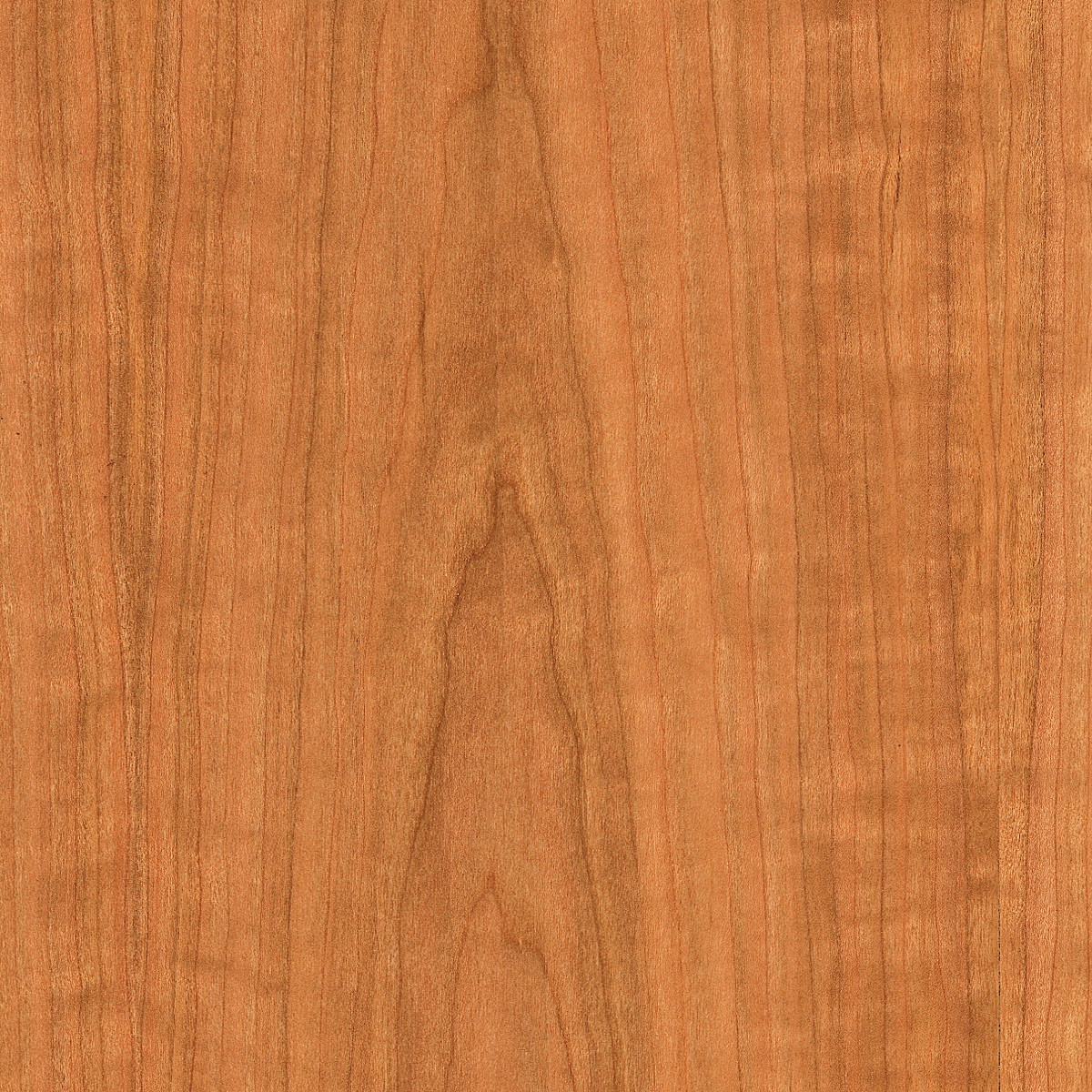 Flat cut Cherry veneer