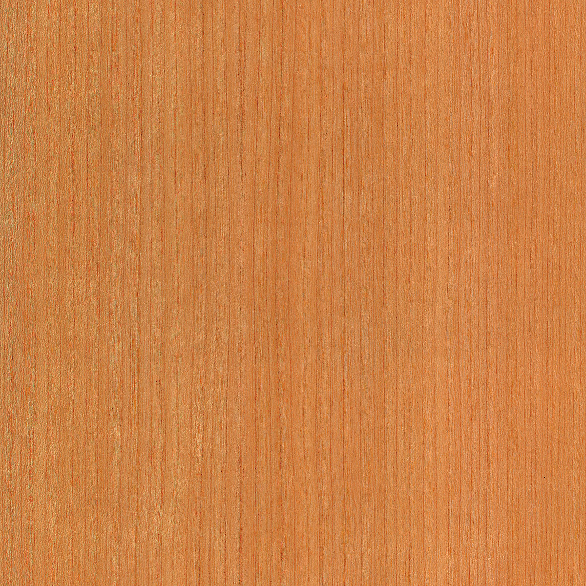 quartered cherry veneer