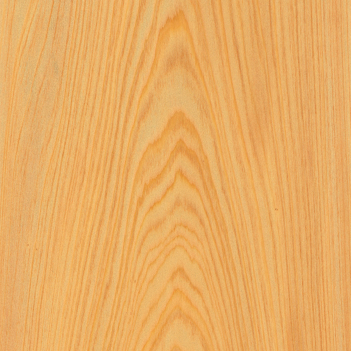 Flat Cut Cypress Plywood