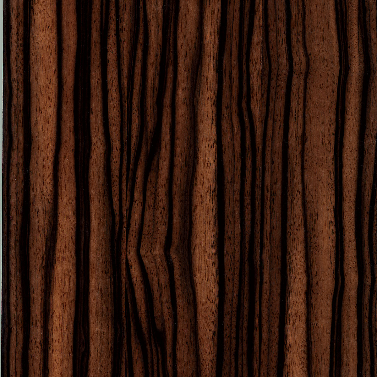 macassar ebony veneer