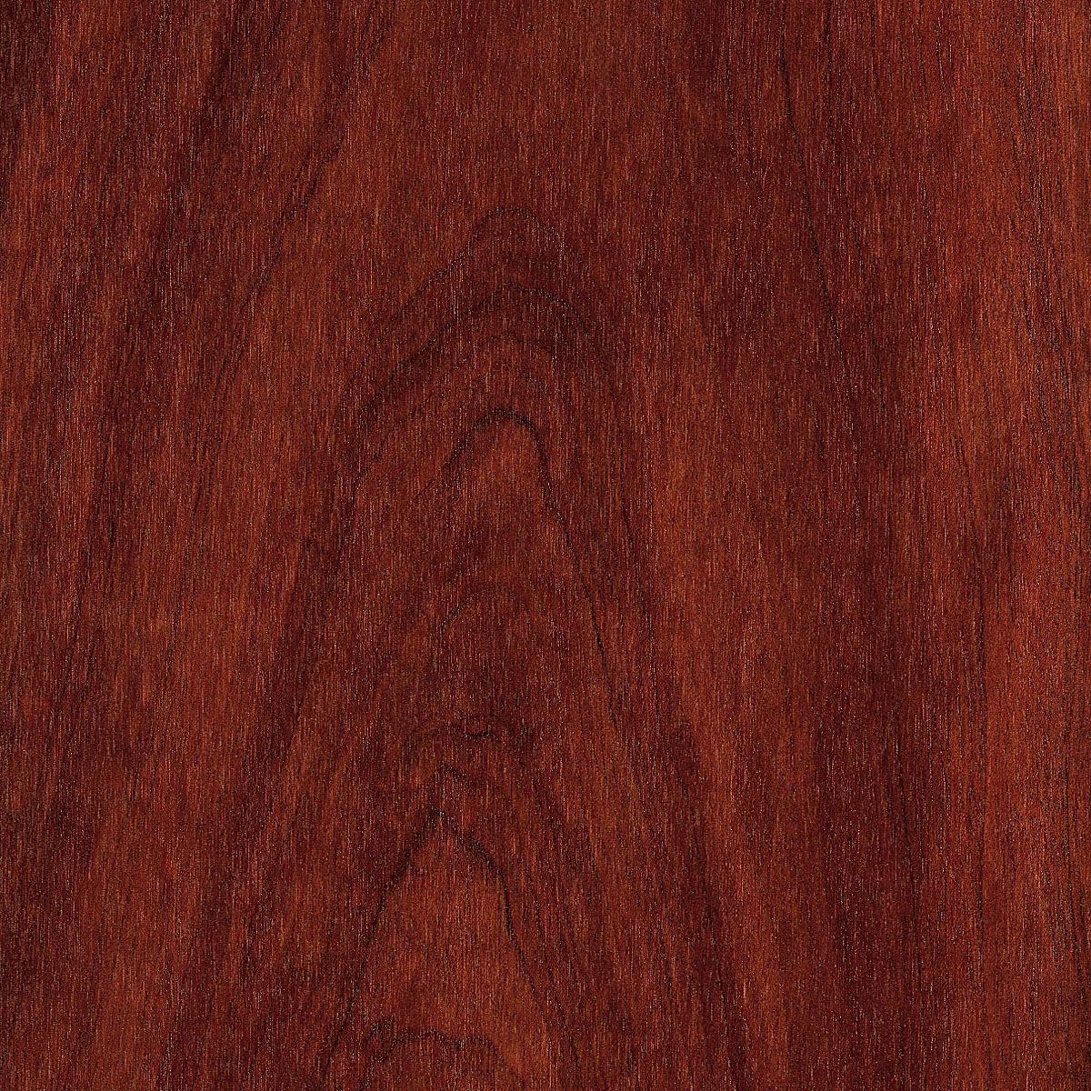 flat cut etimoe veneer