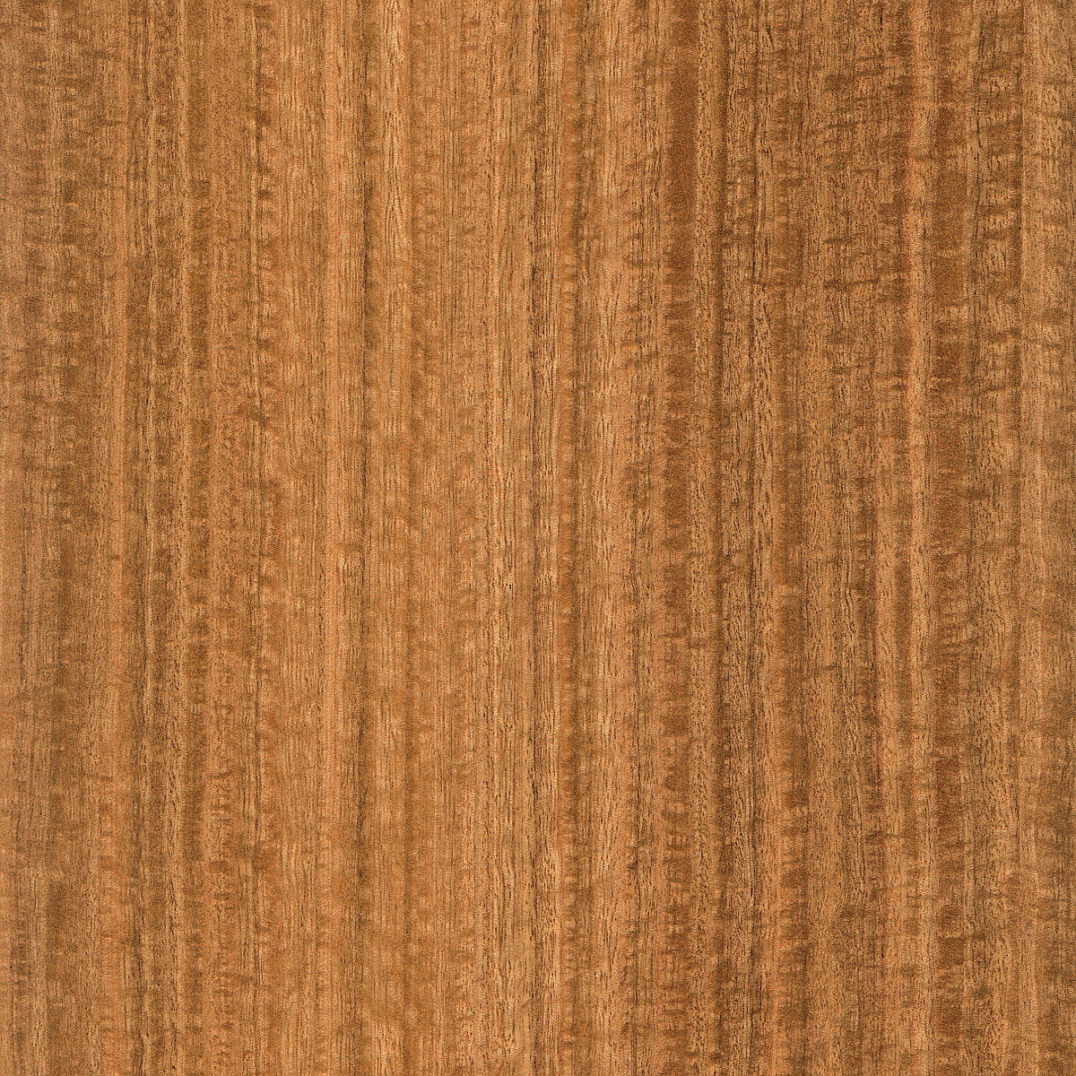 Quartered Figured Eucalyptus Plywood