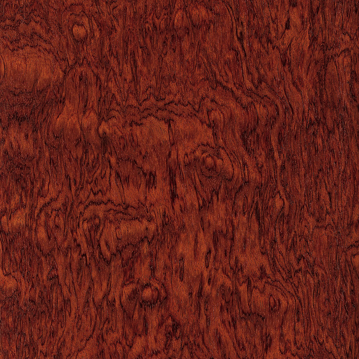 rotary cut kevazinga veneer