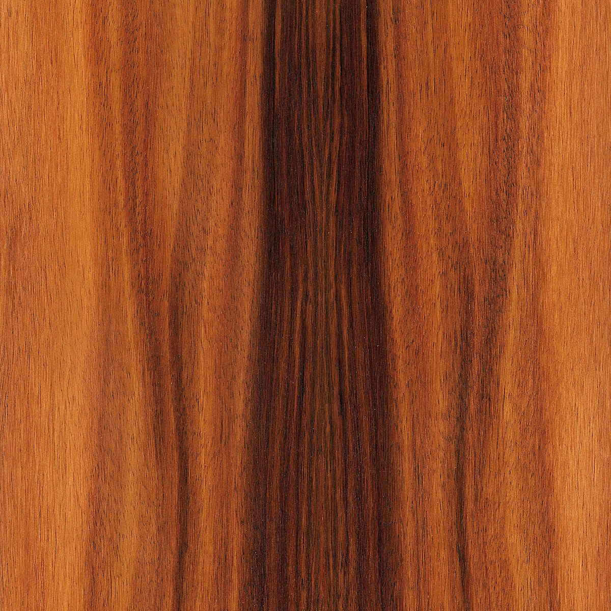 Hawaiian Koa Plywood