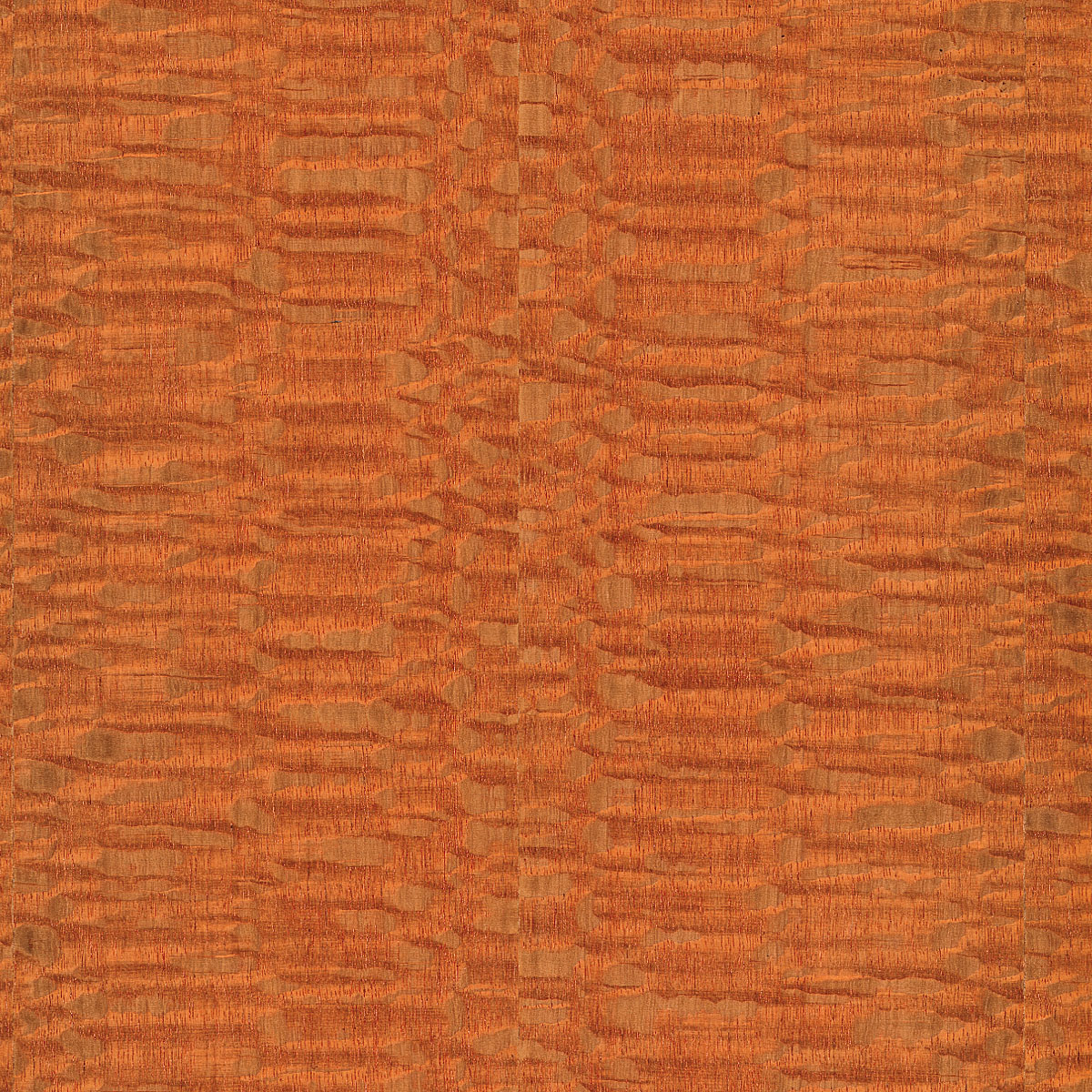 quartered lacewood veneer