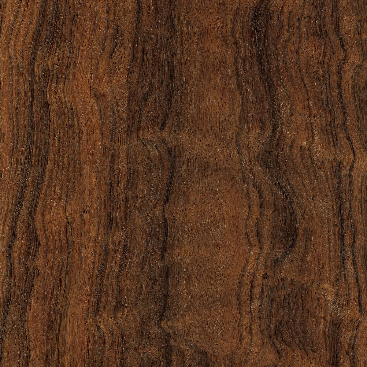 East Indian Laurel Plywood