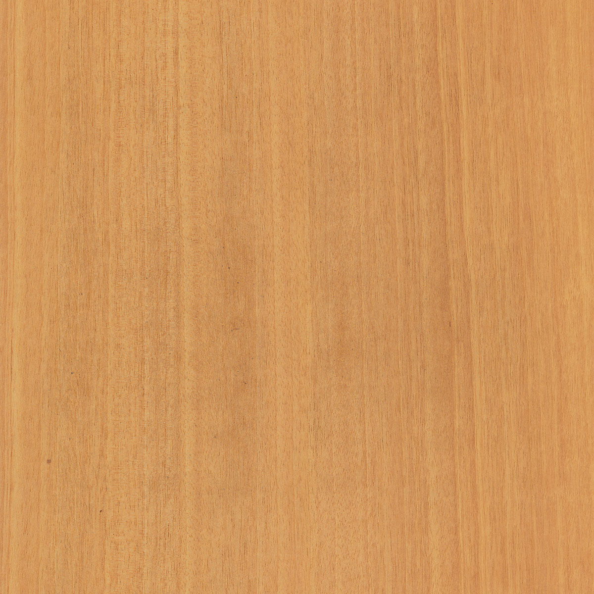 quartered limba veneer