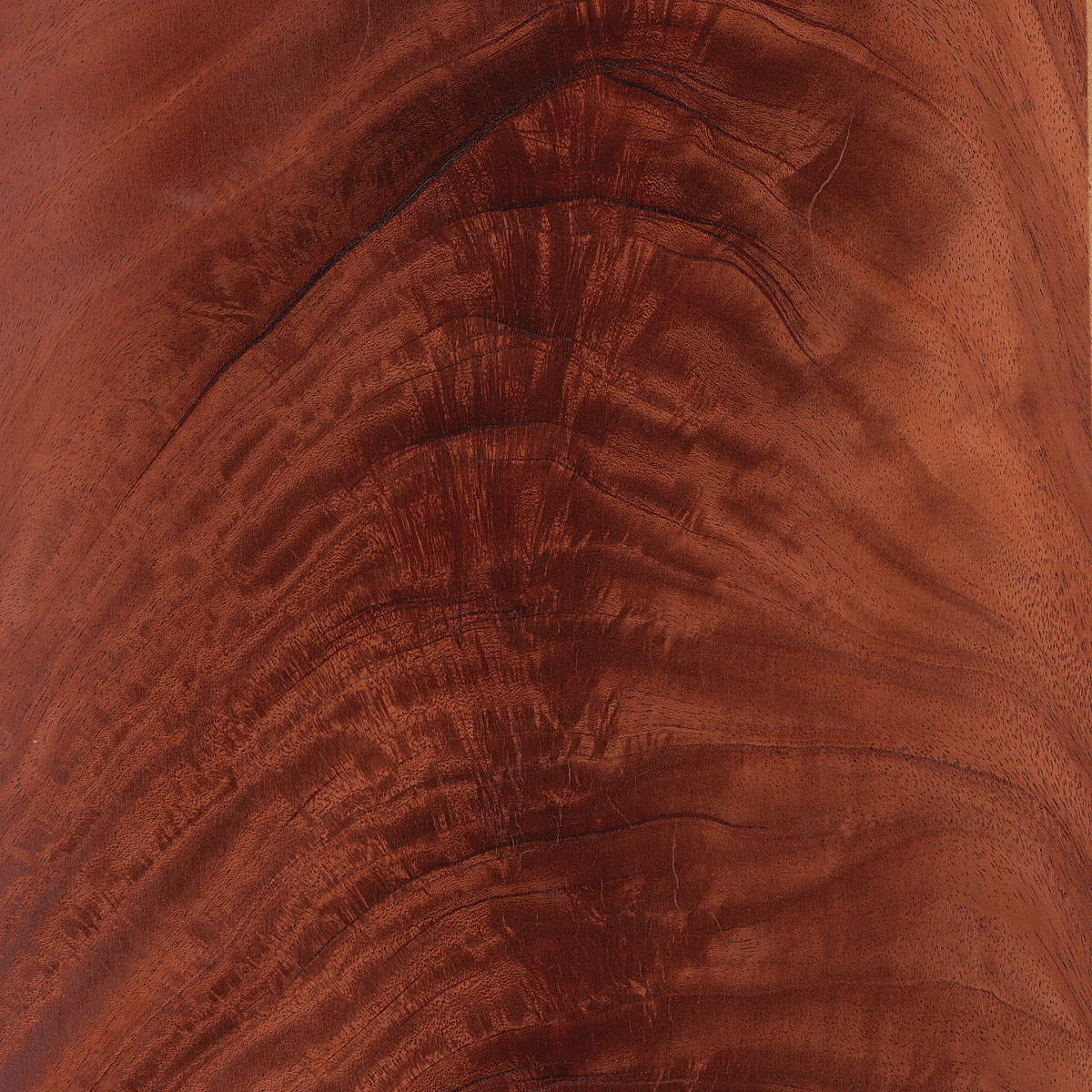 crotch mahogany veneer