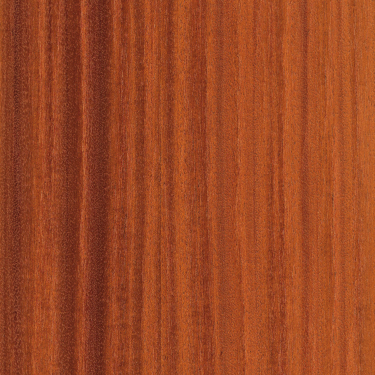 quartered ribbon mahogany veneer