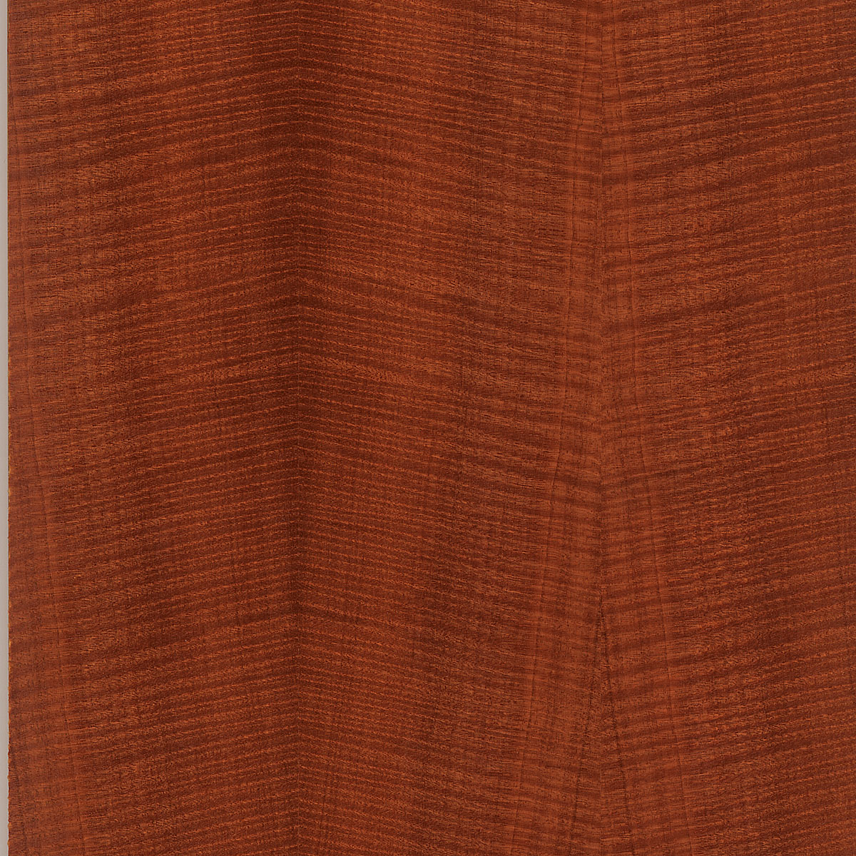 Quartered Fiddle Back Makore Plywood