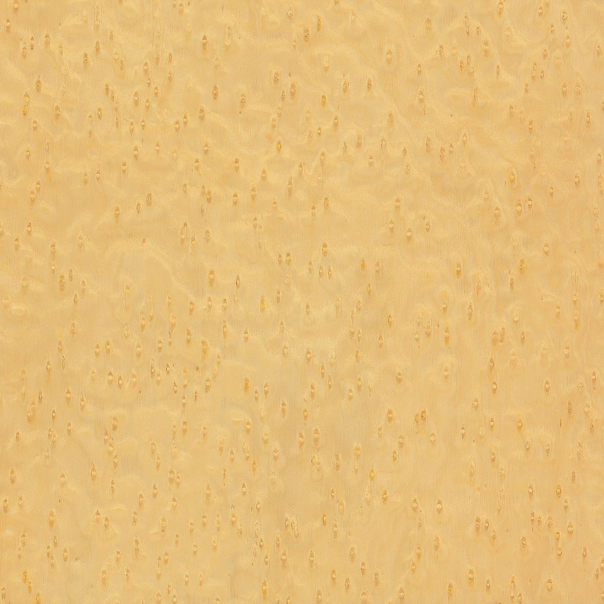 Reconstituted Birdseye Maple Plywood