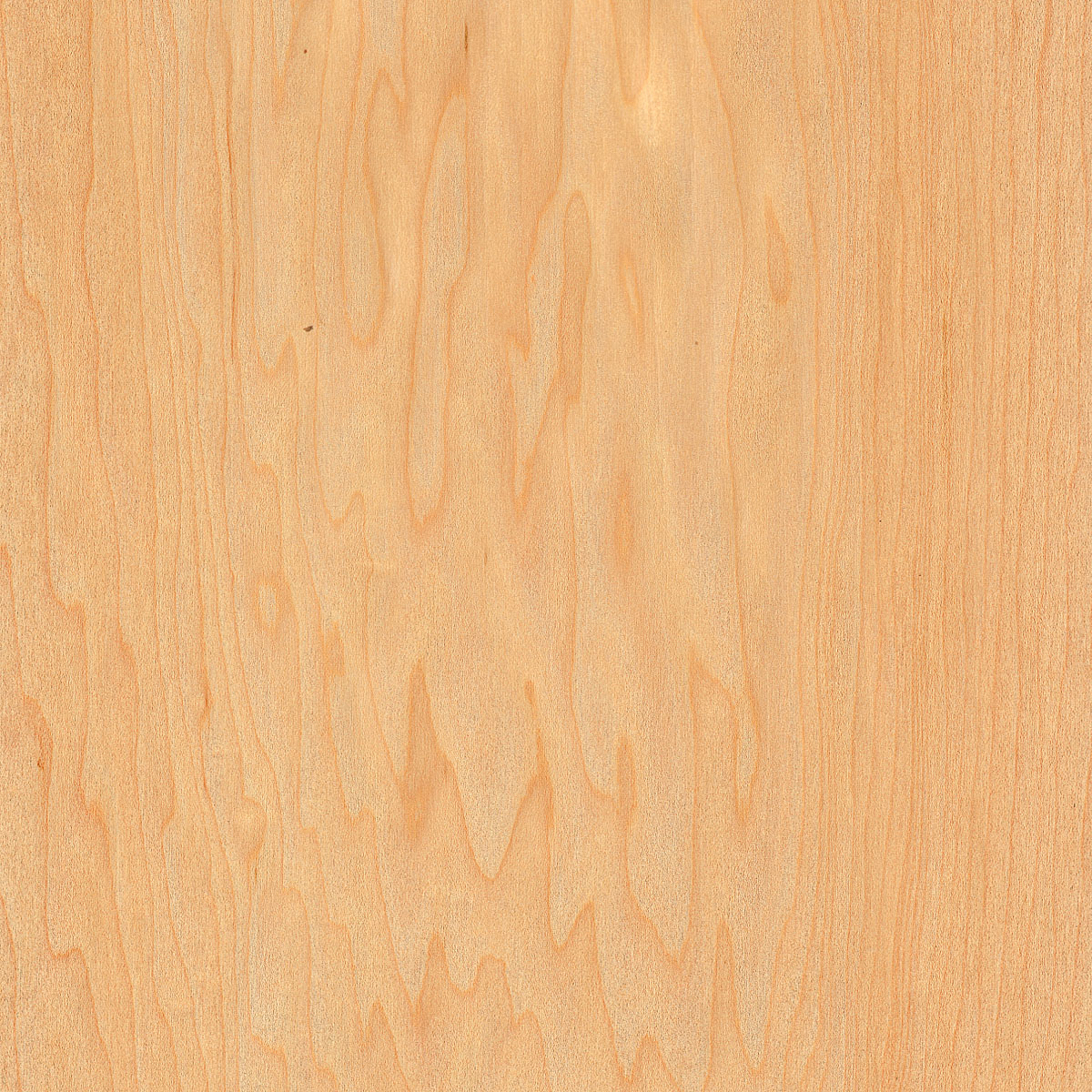 rotary cut maple veneer