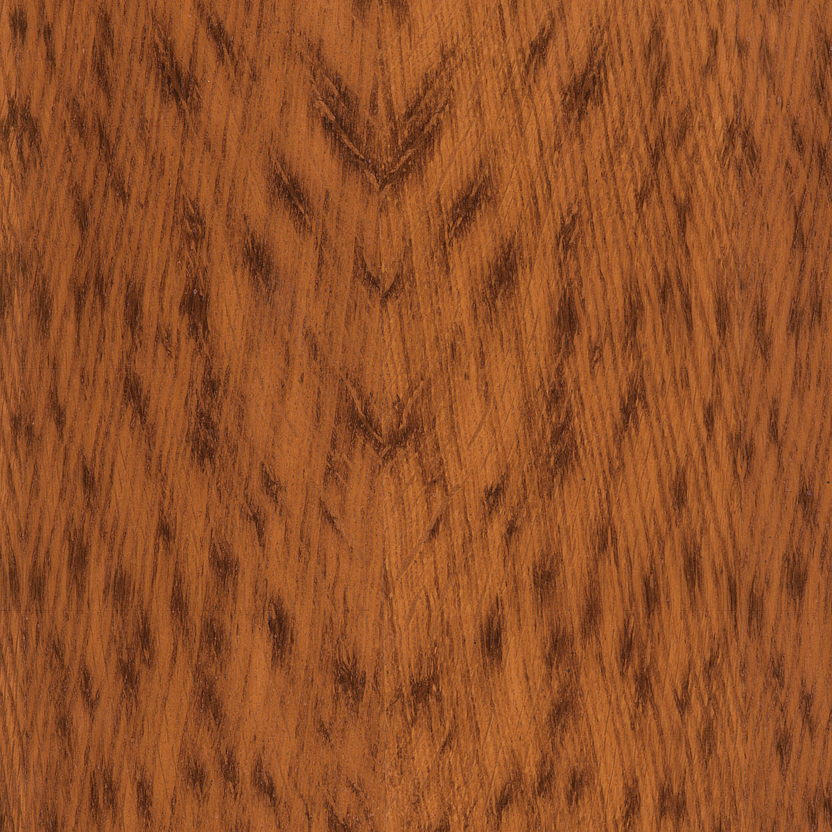 quartered English brown oak veneer