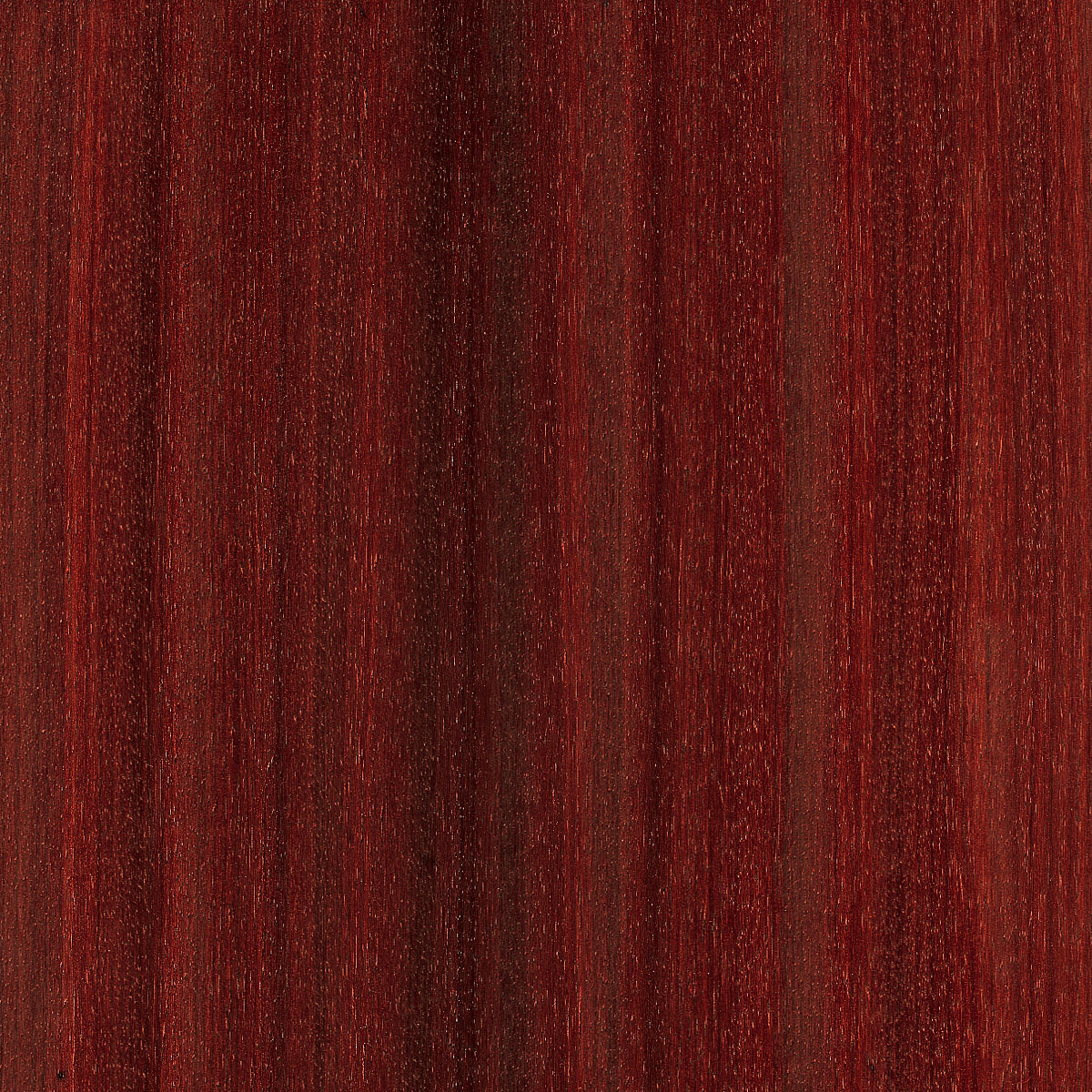 quartered padauck veneer