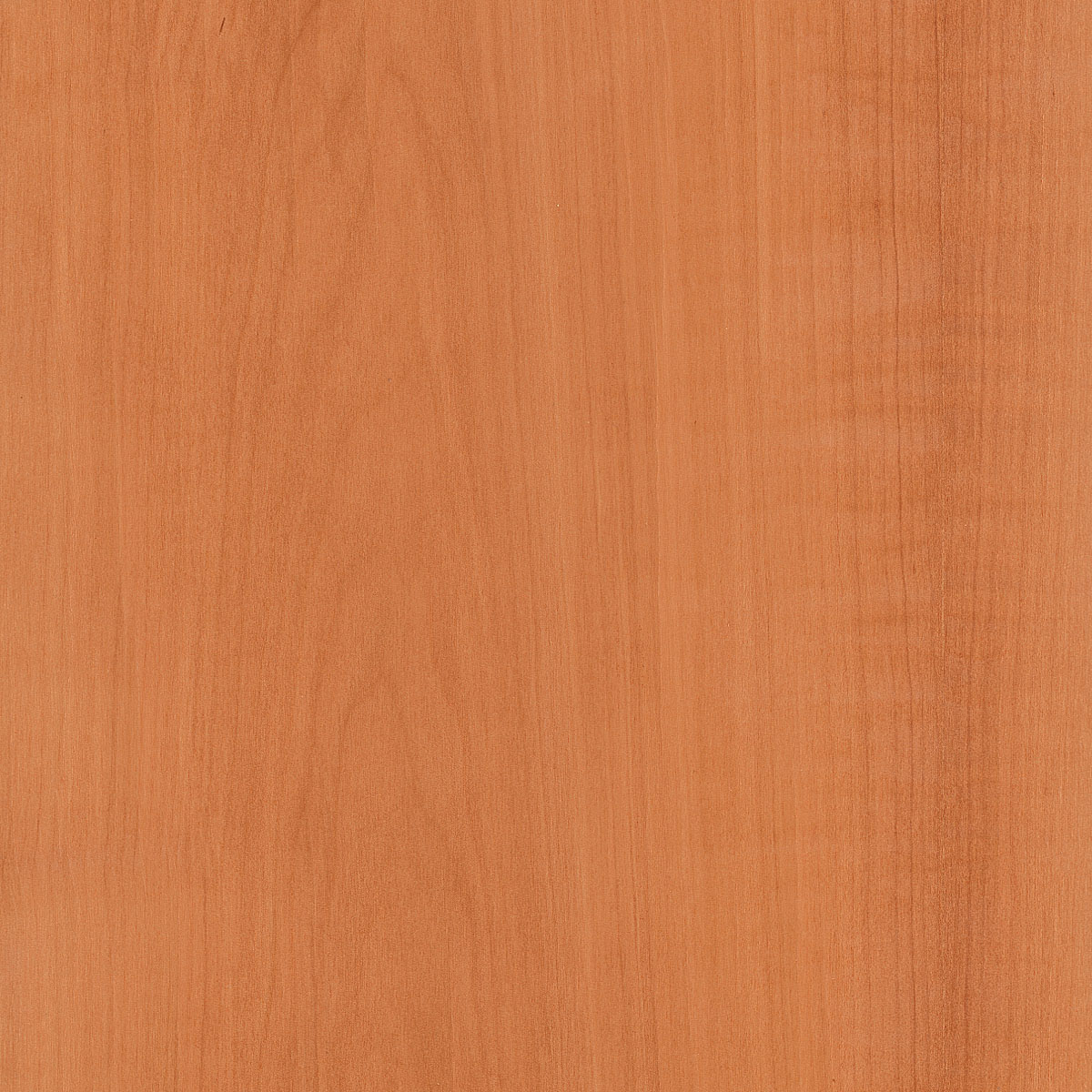 flat cut Swiss pearwood veneer
