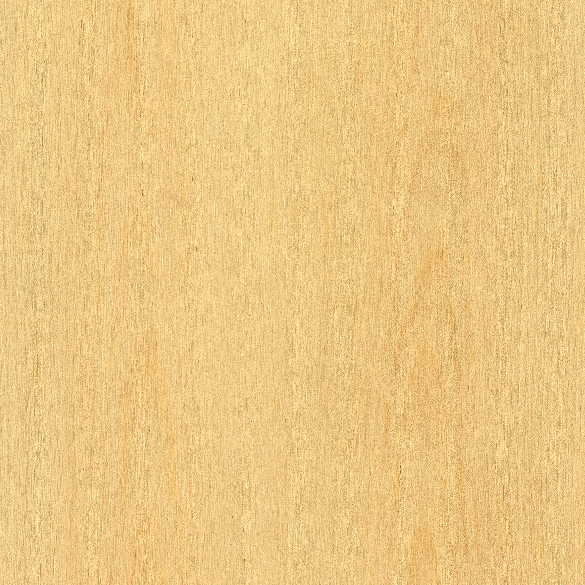 flat cut white pine veneer