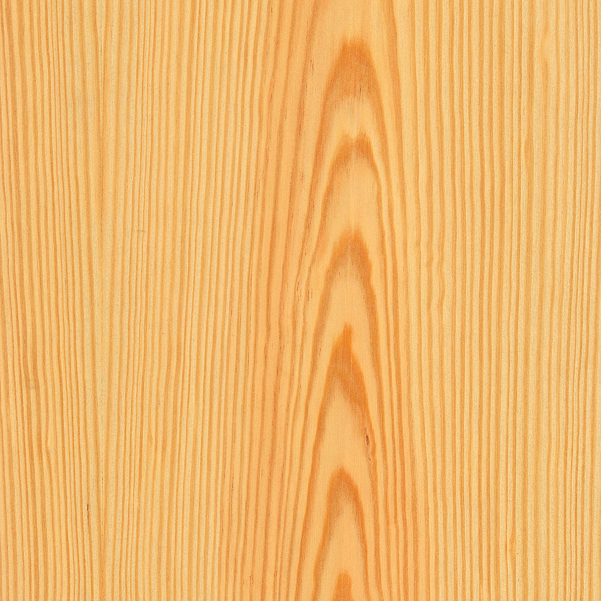 flat cut yellow pine veneer