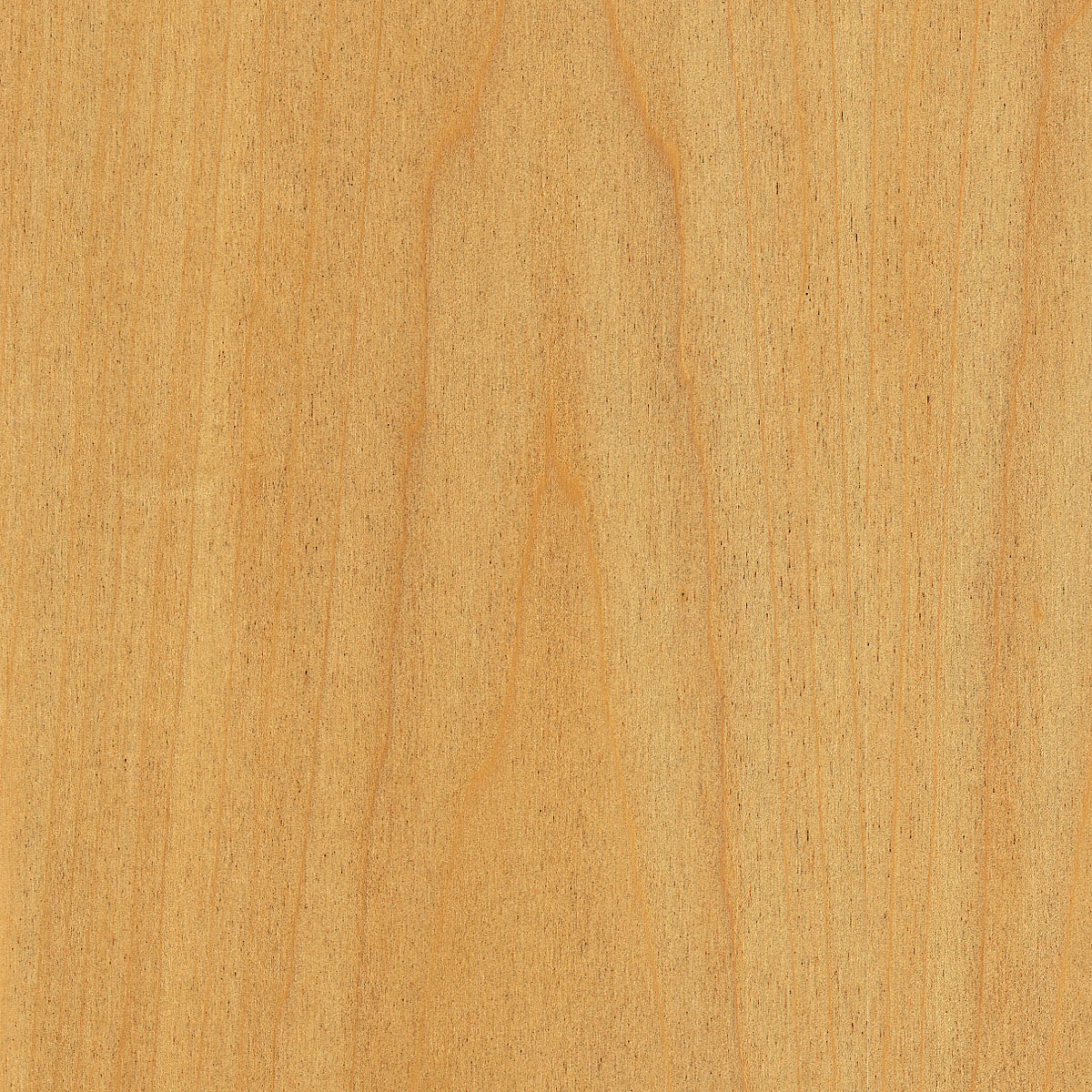 rotary poplar veneer