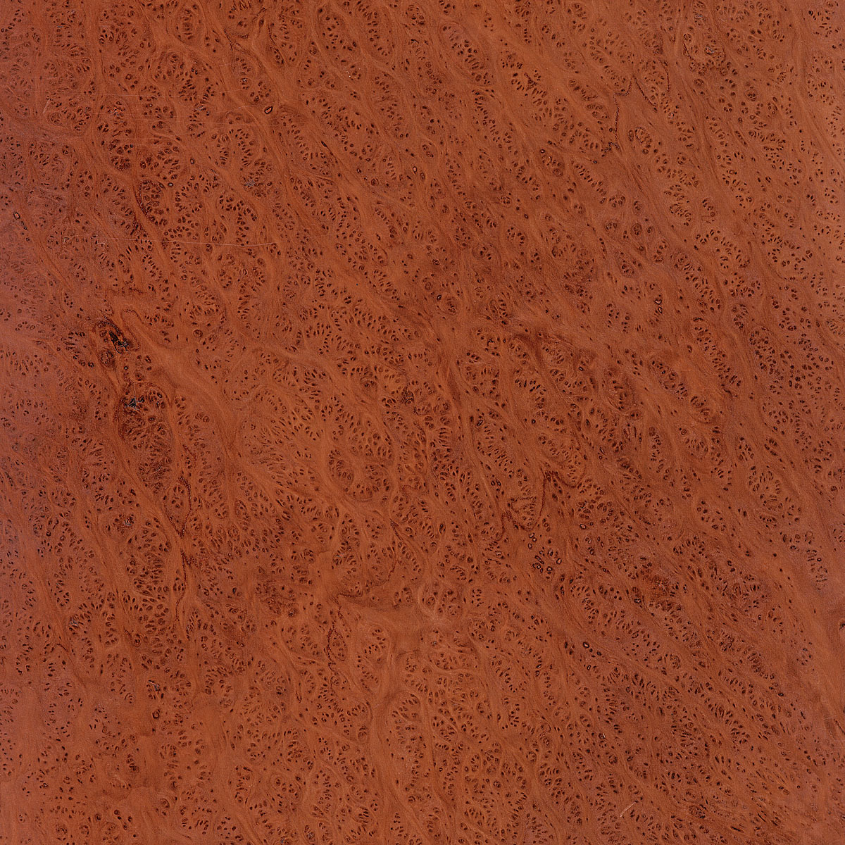 Burl Redwood Plywood