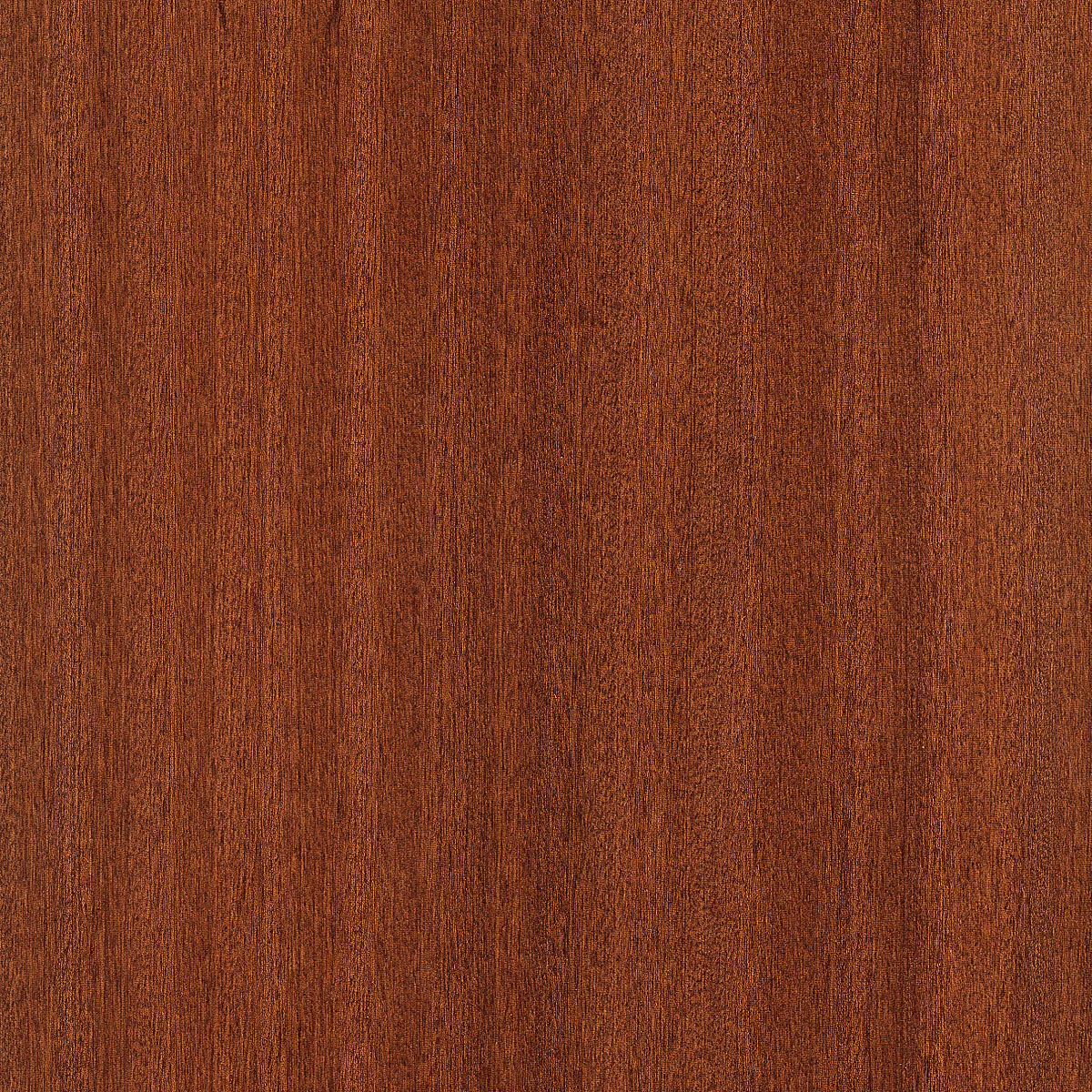 Quartered Sapele Veneer