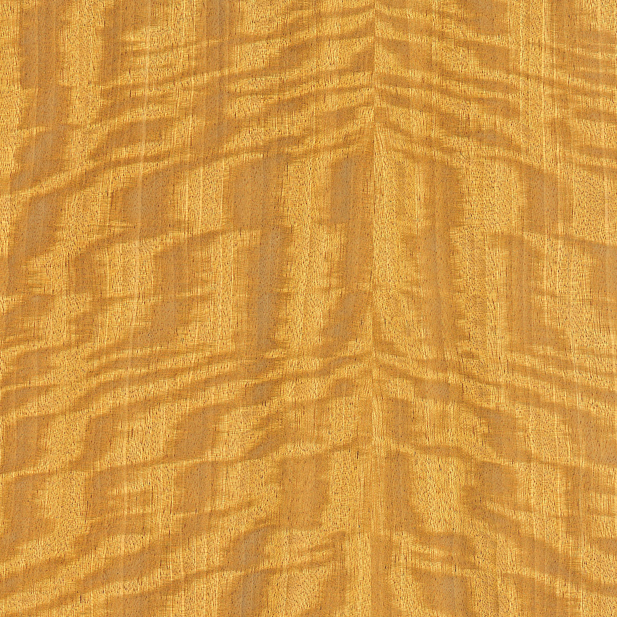 Quartered Figured Satinwood Plywood