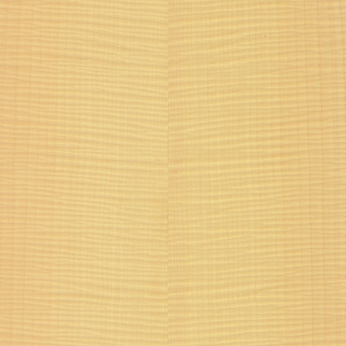 Quartered Figured English Sycamore Plywood